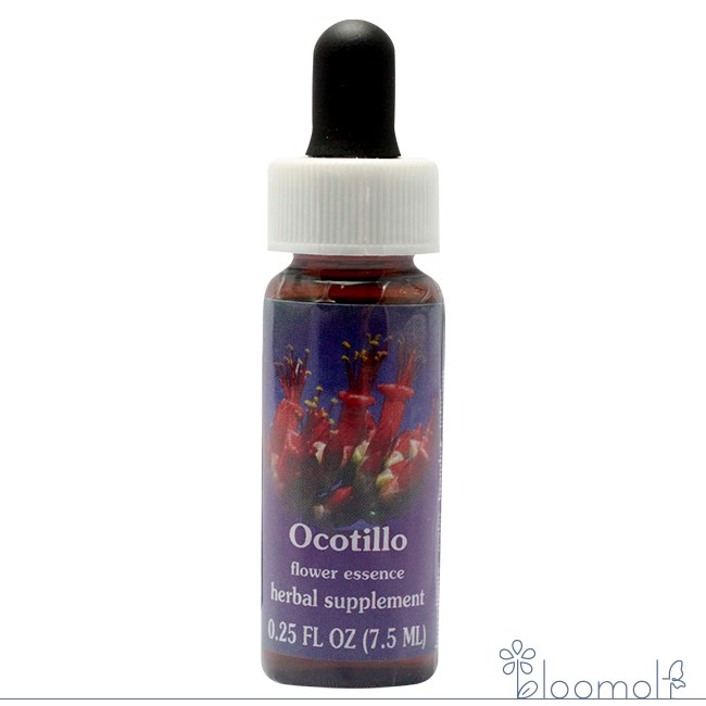 オコティーロ FESフラワーエッセンス レンジオブライト