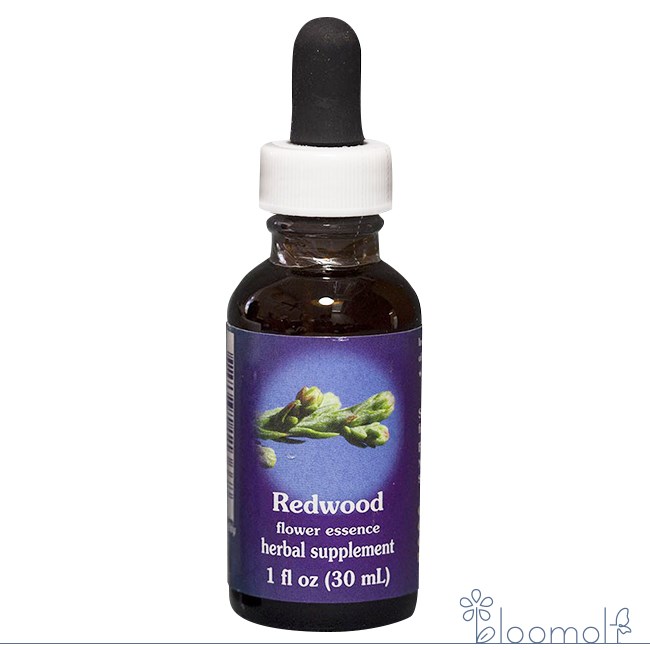 レッドウッド FESフラワーエッセンス レンジオブライト 30ml キャンセル不可商品 注文後取寄品