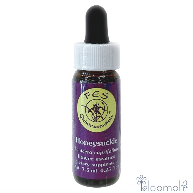 樂天商城 - フラワーエッセンス FESフラワーエッセンス リサーチバッチ ハニーサックル 7.5ml Honeysuckle