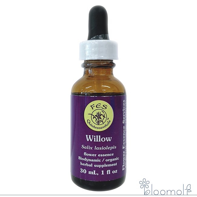 フラワーエッセンス FESフラワーエッセンス リサーチバッチ ウィロウ 30ml Willow