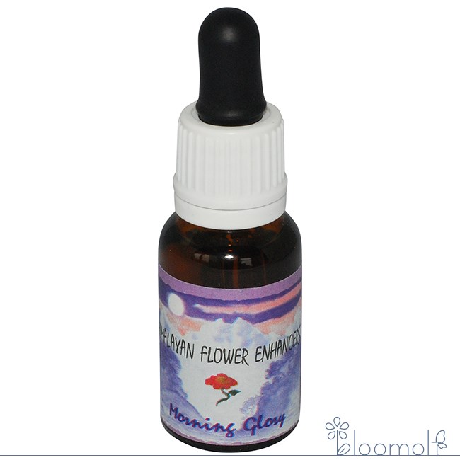 モーニンググローリー ヒマラヤンエンハンサーズ