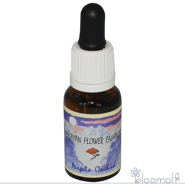 パープルオーキッド ヒマラヤンエンハンサーズ