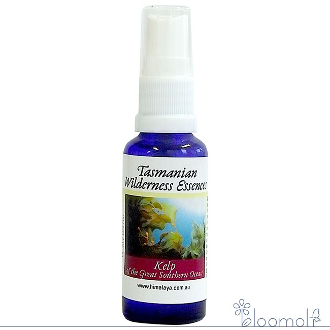 メーカー Himalayan Flower Enhancers シリーズ名 ヒマラヤンエンハンサーズ 単品名称 ケルプオブザグレートサザンオーシャンスプレー 原材料 水・アルコール類・エッセンシャルオイル・その他 内容量 30ml 賞味期限 パッケージに記載 製造者 Himalayan Flower Enhancers 生産国 オーストラリア 輸入者 ネイチャーワールド(株) 資料提供 ネイチャーワールド(株) 使用上の注意 ラベルのデザインが変更になる場合がございます。予めご了承ください。 本品は化粧品や医薬品ではありません。 効果は個人によって異なり、特定の効果を保証するというものではありません。 服用はお控えください。 広告文責 (株)B-CRUISE(0362724460) キーワード Kelp of the Great Southern Ocean起こりうるすべてと共に流れながら、しっかりと根をおろしている。そんな柔軟性や流動性、そして受容性がこのケルプの資質です。海との繋がりに浸ることで、人生への緊張や抵抗が取り払われます。■ケルプオブザグレートサザンオーシャンからの声私は大いなる生命の動きと一体です。 ■使用方法 ・頭の上や体のまわりなど、体を包むオーラ(オーラフィールド)にふきかける。 ・寝室やリビングなどの室内や職場など自分が居る空間にスプレーしする。 ■使用上の注意 こちらの商品はスプレータイプとなっています。飲むことはできません。 ■保存方法 直射日光を避け保管してください。