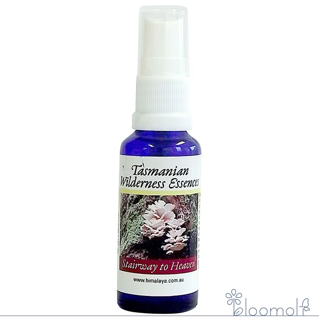 メーカー Himalayan Flower Enhancers シリーズ名 ヒマラヤンエンハンサーズ 単品名称 ステアウェイトゥヘブンスプレー 原材料 水・アルコール類・エッセンシャルオイル・その他 内容量 30ml 賞味期限 パッケージに記載 製造者 Himalayan Flower Enhancers 生産国 オーストラリア 輸入者 ネイチャーワールド(株) 資料提供 ネイチャーワールド(株) 使用上の注意 ラベルのデザインが変更になる場合がございます。予めご了承ください。 本品は化粧品や医薬品ではありません。 効果は個人によって異なり、特定の効果を保証するというものではありません。 服用はお控えください。 広告文責 (株)B-CRUISE(0362724460) キーワード Stairway to Heavenアンシェントマートルの根元に育つ白いサンゴ礁のようなキノコです。意識の上層でと昇っていける、階段状の道を与えてくれるでしょう。変化のときにより大きな気づきを得て、一歩先に波長を合わせられるように。気づきの波が身体を上昇し、固定の容器の中にあるゴミを掃除してくれます。■ステアウェイ　トゥ　ヘブンからの声私は意識の階層を明らかにし受け入れます。 ■使用方法 ・頭の上や体のまわりなど、体を包むオーラ(オーラフィールド)にふきかける。 ・寝室やリビングなどの室内や職場など自分が居る空間にスプレーしする。 ■使用上の注意 こちらの商品はスプレータイプとなっています。飲むことはできません。 ■保存方法 直射日光を避け保管してください。