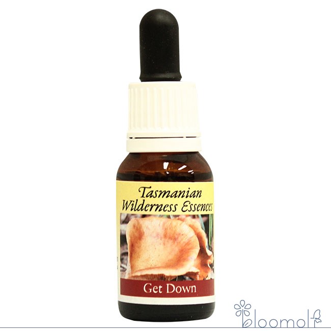 ゲットダウンエッセンス ヒマラヤンエンハンサーズ タスマニアンウィルダネスエッセンス