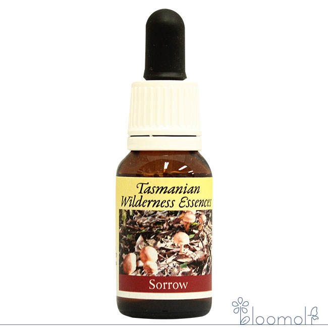 メーカー Himalayan Flower Enhancers シリーズ名 ヒマラヤンエンハンサーズ 単品名称 ソロウエッセンス 原材料 水・アルコール類・エッセンシャルオイル・その他 内容量 15ml 賞味期限 パッケージに記載 製造者 Himalayan Flower Enhancers 生産国 オーストラリア 輸入者 ネイチャーワールド(株) 資料提供 ネイチャーワールド(株) 使用上の注意 ラベルのデザインが変更になる場合がございます。予めご了承ください。 本品は化粧品や医薬品ではありません。 効果は個人によって異なり、特定の効果を保証するというものではありません。 服用はお控えください。 広告文責 (株)B-CRUISE(0362724460) キーワード Sorrow個人的な悲しみや喪失感に深くつながれないときにお使いください。たとえ意識できなくても、それらは今の人生を形成し行動や決意を方向づけています。とても深い癒しのプロセスが起こりますので、時間をかけて紐解いていく必要があります。■ソロウからの声私は静寂なる母体に保持、統合されている地球の痛みと苦しみです。 ■使用方法 ・1回3〜4滴を1日最低4回を舌の下に落とし数秒間とどめるようにして飲む。 ・お水やハーブティーに落として飲む。 ・気になる部分や脈、チャクラなど体の気になる部分につける。 ・エッセンスボトルを身に付ける。 ・お風呂に3〜4滴落とし手で8の字を描くように1分以上かき混ぜ、20分以上入浴する。 　その後1時間ほど横になる。 ※緊急時やエッセンスをとても必要とする時は量を増やすのではなく使用回数を増やしてください。 ※滴数はオススメの量です。自分が必要だと思った滴数をお取りください。 ■その他の使い方 ペットには飲み水や餌に混ぜて、植物にはじょうろの水に入れて与えることができます。 ■保存方法 直射日光を避け保管してください。