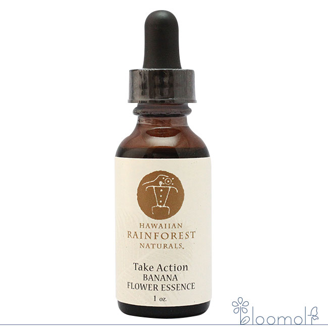 フラワーエッセンス ハワイアン・レイン・フォレスト・ナチュラルズ バナナ 行動を起こす