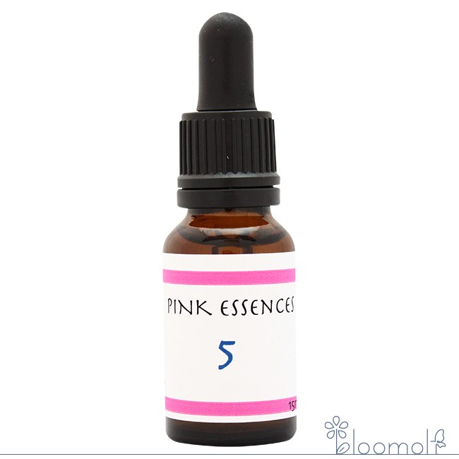 樂天商城 - 5 Five インディゴエッセンス ピンクエッセンス