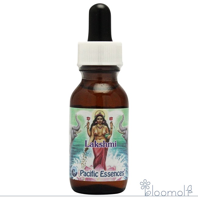 ラクシュミ LAKSHMI Dreamer ボディクリーム 新品未使用 ラクシュミ LAKSHMI Dreamer ボディクリーム 新品未使用