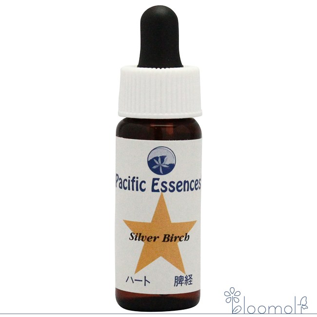 メーカー Pacific Essences シリーズ名 パシフィックエッセンス 単品名称 シルバーバーチ 原材料 水・海塩・アルコール類・その他 内容量 7.5ml 賞味期限 パッケージに記載 製造者 Pacific Essences 生産国 カナダ 輸入者 ネイチャーワールド(株) 資料提供 ネイチャーワールド(株) 使用上の注意 ラベルのデザインが変更になる場合がございます。予めご了承ください。 本品は化粧品や医薬品ではありません。 効果は個人によって異なり、特定の効果を保証するというものではありません。 広告文責 (株)B-CRUISE(0362724460) キーワード Silver Birch『生み出す力を高める』 女性特有の性のエネルギーバランスを取ることを手助けし、新しいものを生み出す力を高めるためにサポートして、新しい人生、新しいプロジェクトを生み出します。 人間関係には様々な負の力があり、それに伴う人間関係に生じる争いごとを取り除き、一人だけの支配ではなく、調和があり、みんなから合意が取りやすくなります。また男女関係の上下問題に対しても手助けをします。 ■使用方法 ・1回3〜4滴を1日3〜4回を舌の下に落とし数秒間とどめるようにして飲む。 ・お水やハーブティーに落として飲む。 ・気になる部分や脈、チャクラなど体の気になる部分につける。 ・エッセンスボトルを身に付ける。 ・お風呂に3〜4滴落として入浴する。 ・クリームや化粧品に混ぜて使う。 ※緊急時やエッセンスをとても必要とする時は量を増やすのではなく使用回数を増やしてください。 ※滴数はオススメの量です。自分が必要だと思った滴数をお取りください。 ■その他の使い方 ペットには飲み水や餌に混ぜて、植物にはじょうろの水に入れて与えることができます。 ■保存方法 直射日光を避け保管してください。