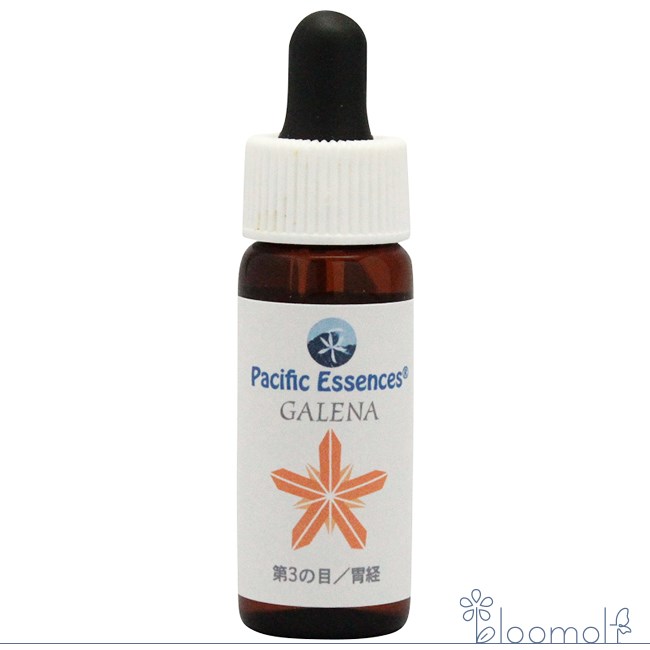 フラワーエッセンス パシフィックエッセンス ジェムエッセンス ガレナ 方鉛鉱