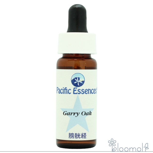 樂天商城 - フラワーエッセンス パシフィックエッセンス ツリーエッセンス ギャリーオーク Garry Oak