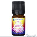 フラワーエッセンス パシフィックエッセンス アロマディフューザーオイル アバンダンスディフューザーオイル Abundance Diffuser Oil(4)