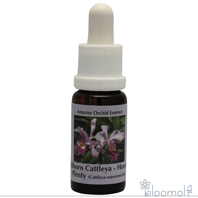 フラワーエッセンス コルテPHIエッセンス アマゾンオーキッドエッセンス フルホーンカトレア