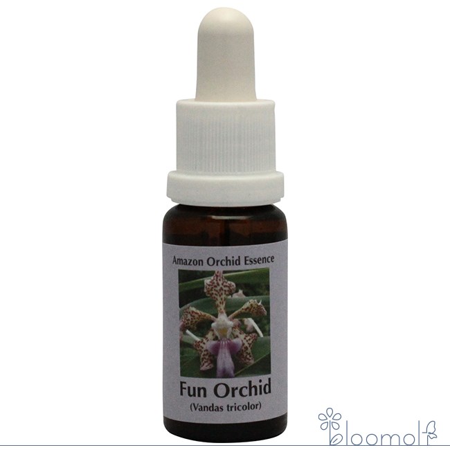 フラワーエッセンス コルテPHIエッセンス アマゾンオーキッドエッセンス ファンオーキッド