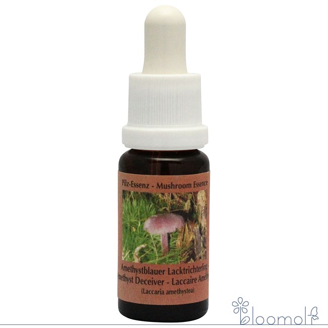 樂天商城 - フラワーエッセンス コルテPHIエッセンス マッシュルーム きのこ エッセンス アメジストディスィーバー