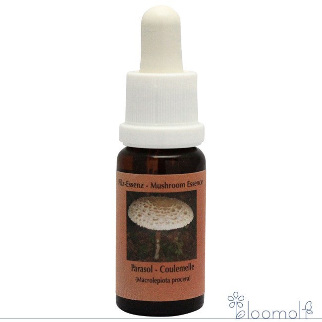 フラワーエッセンス コルテPHIエッセンス マッシュルーム きのこ エッセンス パラソル