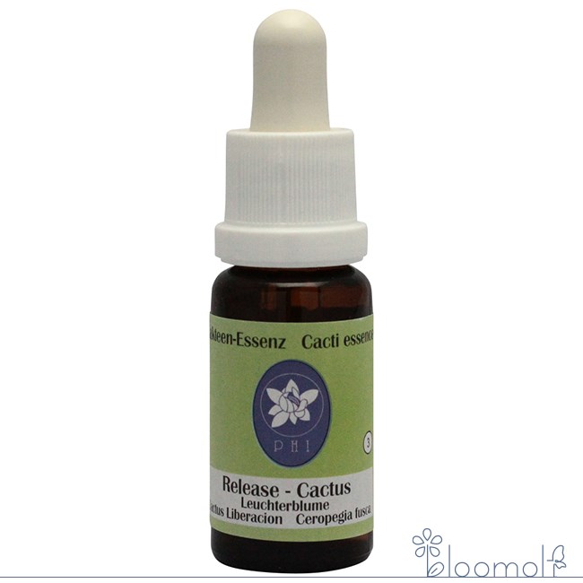 樂天商城 - リリースカクタス コルテPHIエッセンス カクタス サボテン エッセンス