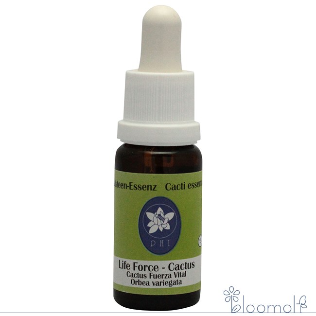 樂天商城 - ライフフォースカクタス コルテPHIエッセンス サボテン フラワーエッセンス