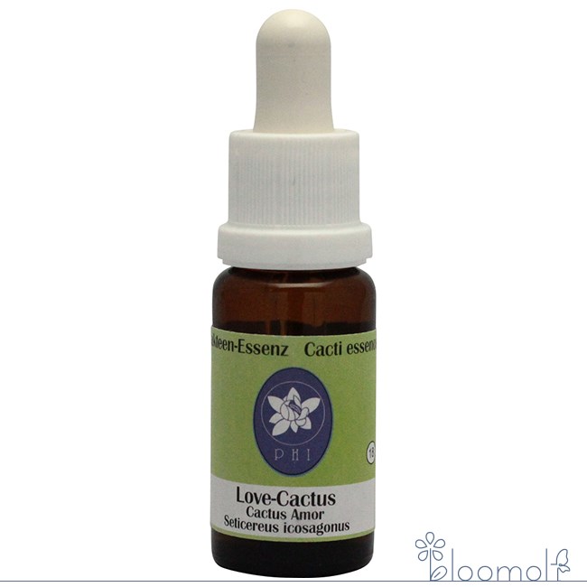 樂天商城 - ラブカクタス コルテPHIエッセンス カクタス サボテン エッセンス