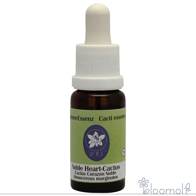 樂天商城 - ノーブルハートカクタス コルテPHIエッセンス カクタス サボテン エッセンス