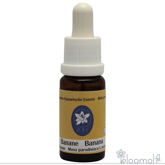 バナナ コルテPHIエッセンス アフリカン&カナリーアイランドエッセンス