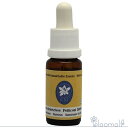 ペティコートダッフォディル コルテPHIエッセンス アフリカン&カナリーアイランドエッセンス