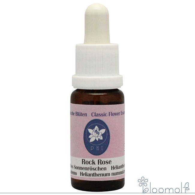 ロックローズ コルテPHIエッセンス クラシックエッセンス