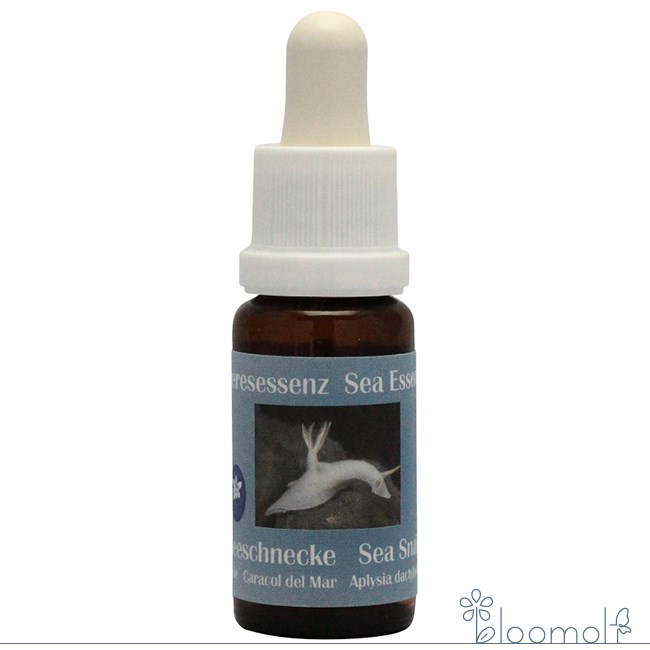 シーコクレア シースネイル コルテPHIエッセンス シーエッセンス