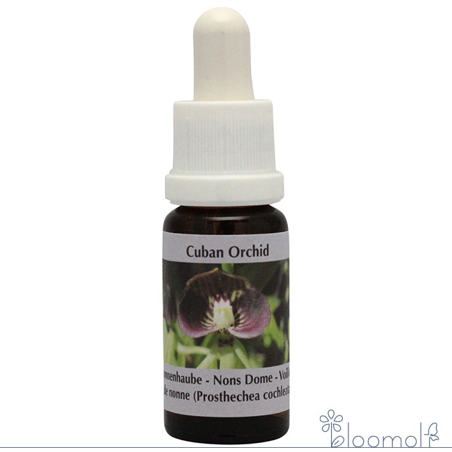 フラワーエッセンス コルテPHIエッセンス カリビアンエッセンス ナンズドーム