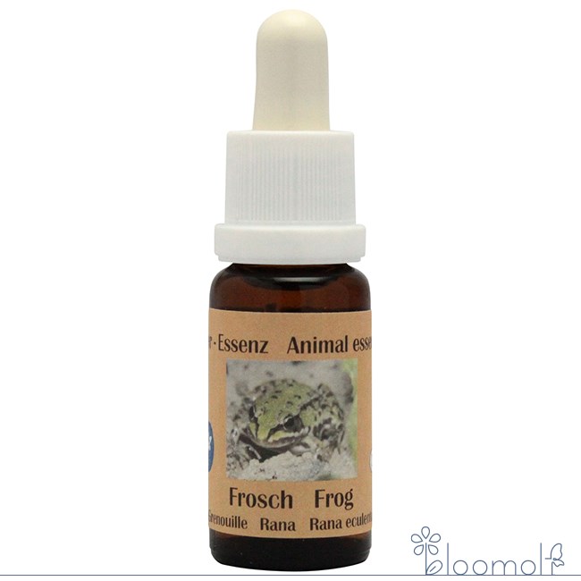 樂天商城 - フラワーエッセンス コルテPHIエッセンス ヨーロピアンアニマルエッセンス カエル