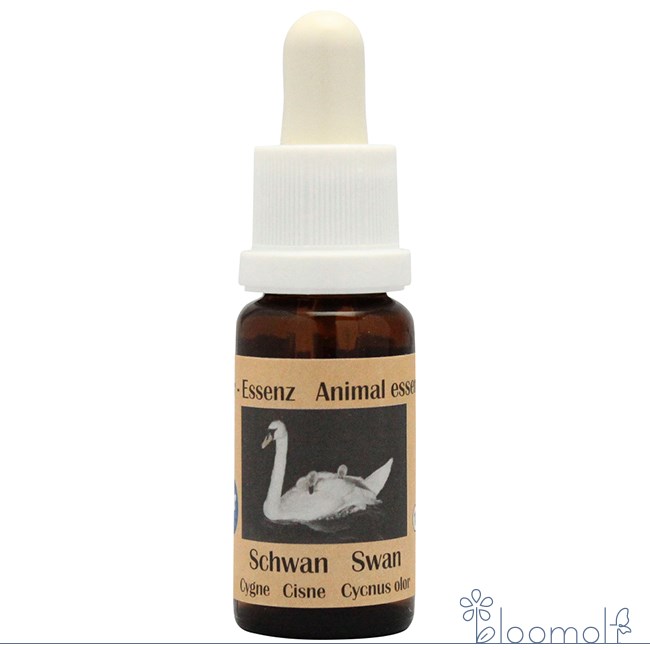 樂天商城 - フラワーエッセンス コルテPHIエッセンス ヨーロピアンアニマルエッセンス 白鳥