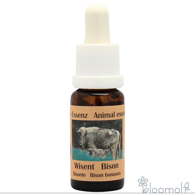 樂天商城 - フラワーエッセンス コルテPHIエッセンス ヨーロピアンアニマルエッセンス バイソン