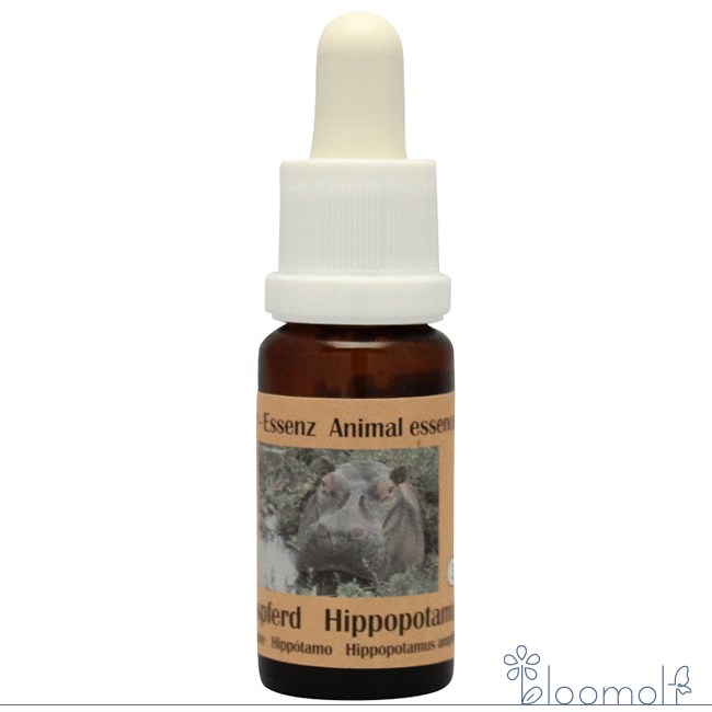 樂天商城 - フラワーエッセンス コルテPHIエッセンス アフリカンアニマルエッセンス カバ