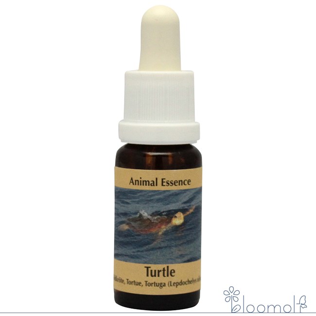 樂天商城 - タートル コルテPHIエッセンス アニマルエッセンス4