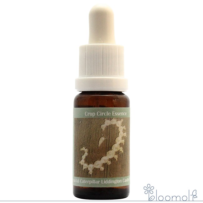 フラワーエッセンス コルテPHIエッセンス クロップサークルエッセンス #10 Fractal Caterpillar, Liddi..