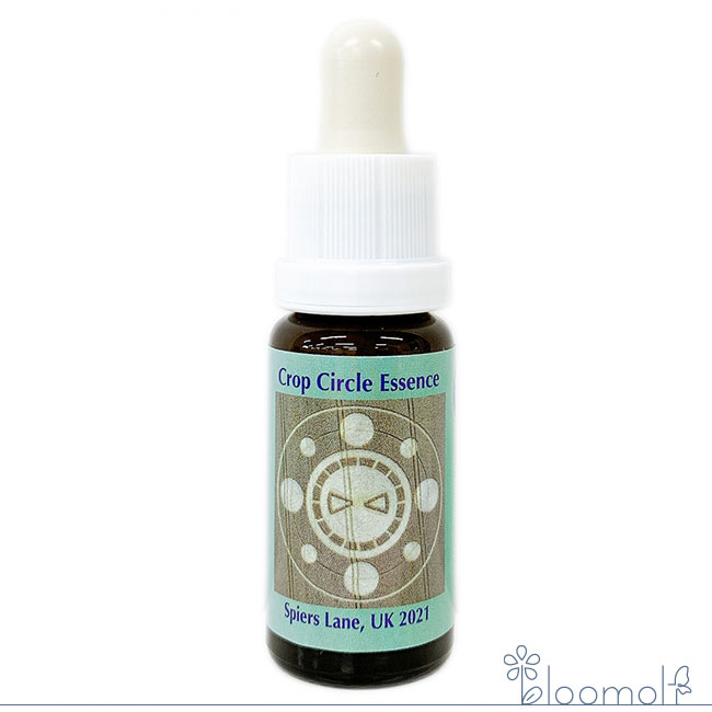 メーカー PHIEssencesBV シリーズ名 コルテPHIエッセンス 単品名称 #227 Spiers Lane, UK 2021 原材料 水・海塩・アルコール類・その他 内容量 15ml 賞味期限 パッケージに記載 製造者 PHIEs...