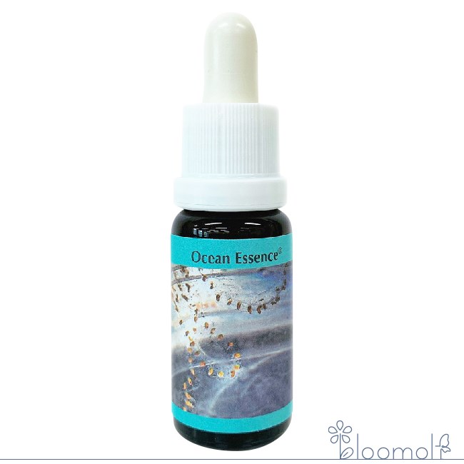 フラワーエッセンス コルテPHIエッセンス オーシャンエッセンス No.14