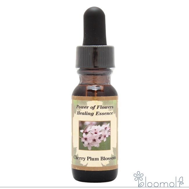 樂天商城 - チェリープラム Cherry Plum パワーオブフラワーヒーリング その他シングルエッセンス