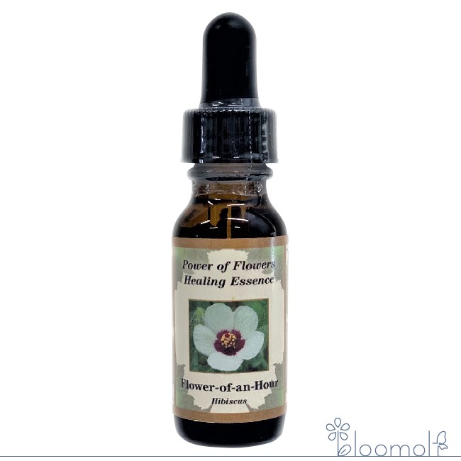 樂天商城 - フラワーオブアンアワー パワーオブフラワーヒーリング その他シングルエッセンス フラワーエッセンス
