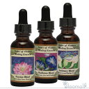 メーカー The Power of Flowers Healing Essences シリーズ名 パワーオブフラワーヒーリング 単品名称 ロマンスフラワーエッセンスキット全3本 原材料 水・海塩・アルコール類・その他 内容量 各30ml×3本 賞味期限 パッケージに記載 製造者 The Power of Flowers Healing Essences 生産国 アメリカ 輸入者 ネイチャーワールド(株) 資料提供 ネイチャーワールド(株) 使用上の注意 ラベルのデザインが変更になる場合がございます。予めご了承ください。 本品は化粧品や医薬品ではありません。 効果は個人によって異なり、特定の効果を保証するというものではありません。 広告文責 (株)B-CRUISE(0362724460) キーワード Romance Flower Essence kitパワーオブフラワーのロマンスフラワーキットはパートナーとの情熱を取り戻し、親密さが蘇る働きをし、人生に愛と輝きが増すようサポートするフラワーエッセンスのパッションとラディアンスとインティマシーの3本キットです。パートナーと一緒に使ったり、プレゼントとしても。 ■キット内容 インティマシーブレンド、 パッションブレンド、 ラディアンスブレンド ■使用方法 ・1回3〜5滴を1日3〜4回を舌の下に落とし数秒間とどめるようにして飲む。 ・お水やハーブティーに落として飲む。 ・気になる部分や脈、チャクラなど体の気になる部分につける。 ・エッセンスボトルを身に付ける。 ・お風呂に3〜5滴落として入浴する。 ・クリームや化粧品に混ぜて使う。 ※緊急時やエッセンスをとても必要とする時は量を増やすのではなく使用回数を増やしてください。 ※滴数はオススメの量です。自分が必要だと思った滴数をお取りください。 ■その他の使い方 ペットには飲み水や餌に混ぜて、植物にはじょうろの水に入れて与えることができます。 ■保存方法 直射日光を避け保管してください。