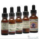 フラワーエッセンス パワーオブフラワーヒーリング ルイジアナ・アイリス・キット ルイジアナアイリスキット 全5本