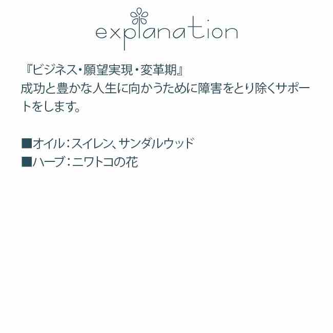 日本香堂 念珠紳士用 縞黒檀 92051
