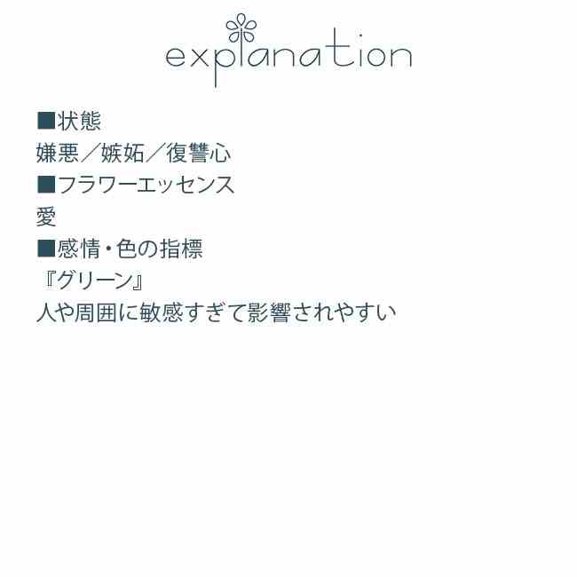 ホリー エインズワースレメディ エッセンス