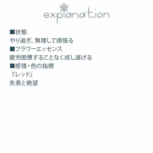 オーク エインズワースレメディ エッセンス 2