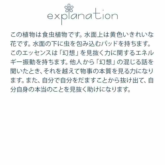 東京かんかん ストーンホルダー ナチュラル M33-2534NA【送料無料】