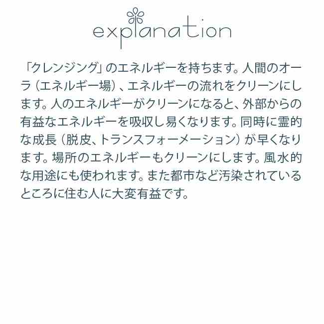 グラスオブパーナサス アラスカン・エッセンス フラワーエッセンス