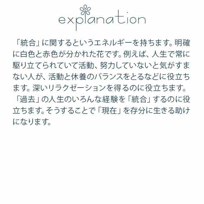 フラワーエッセンス アラスカン・エッセンス オピウムポピー
