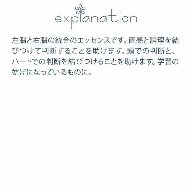 フラワーエッセンス アラスカン・エッセンス ホワイトスプルース