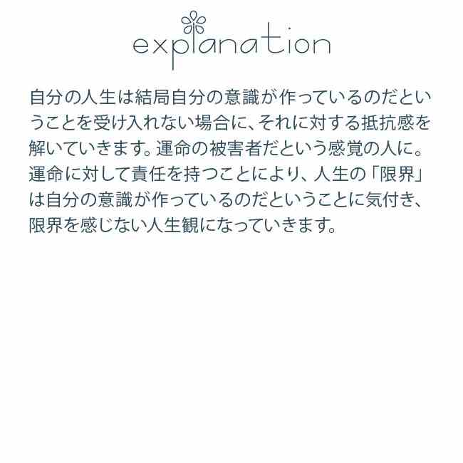 フラワーエッセンス アラスカン・エッセンス ウィロウ 2